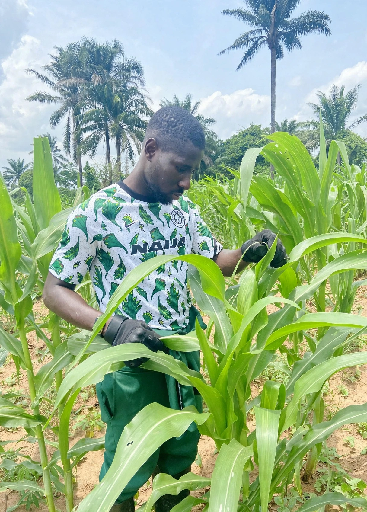 BANI team members on the farm