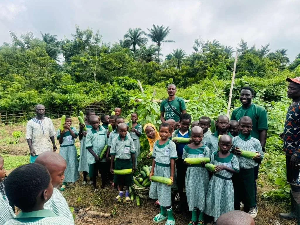 School pupils holding cucumbers at harvest