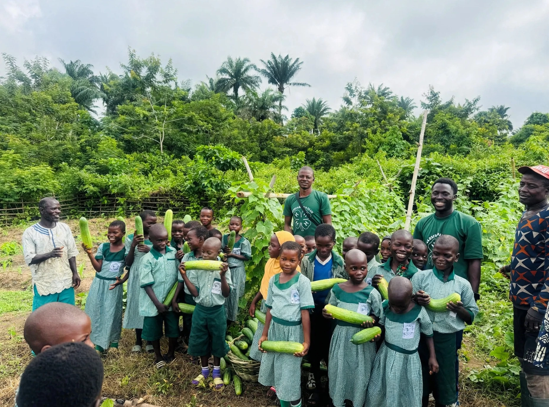 Students planting seedlings in the school garden