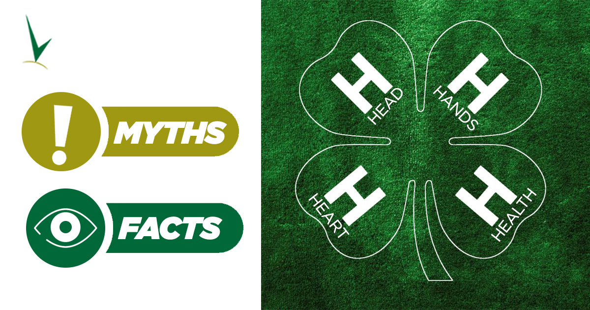 4H
