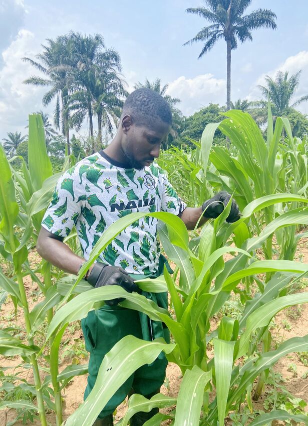 baniagribiz